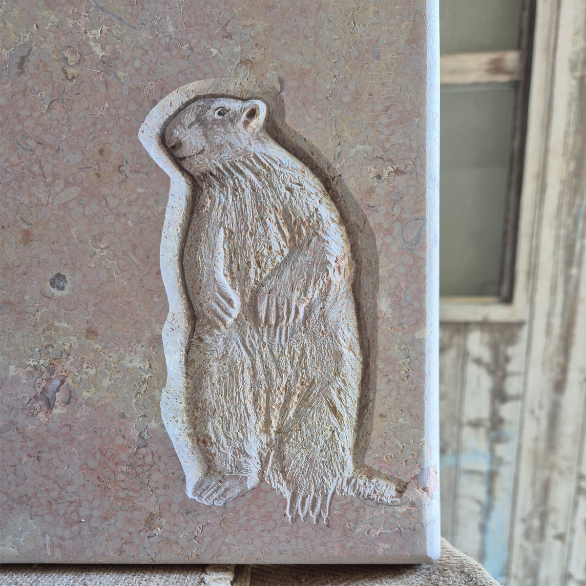 images/grabsteine/tiere/Murmeltier.jpg#joomlaImage://local-images/grabsteine/tiere/Murmeltier.jpg?width=1200&height=1200